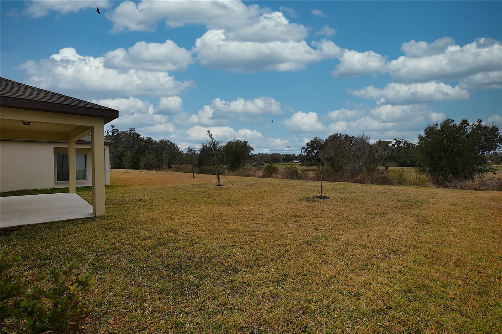 Image 39 of 69 For 3857 Capri Coast Drive