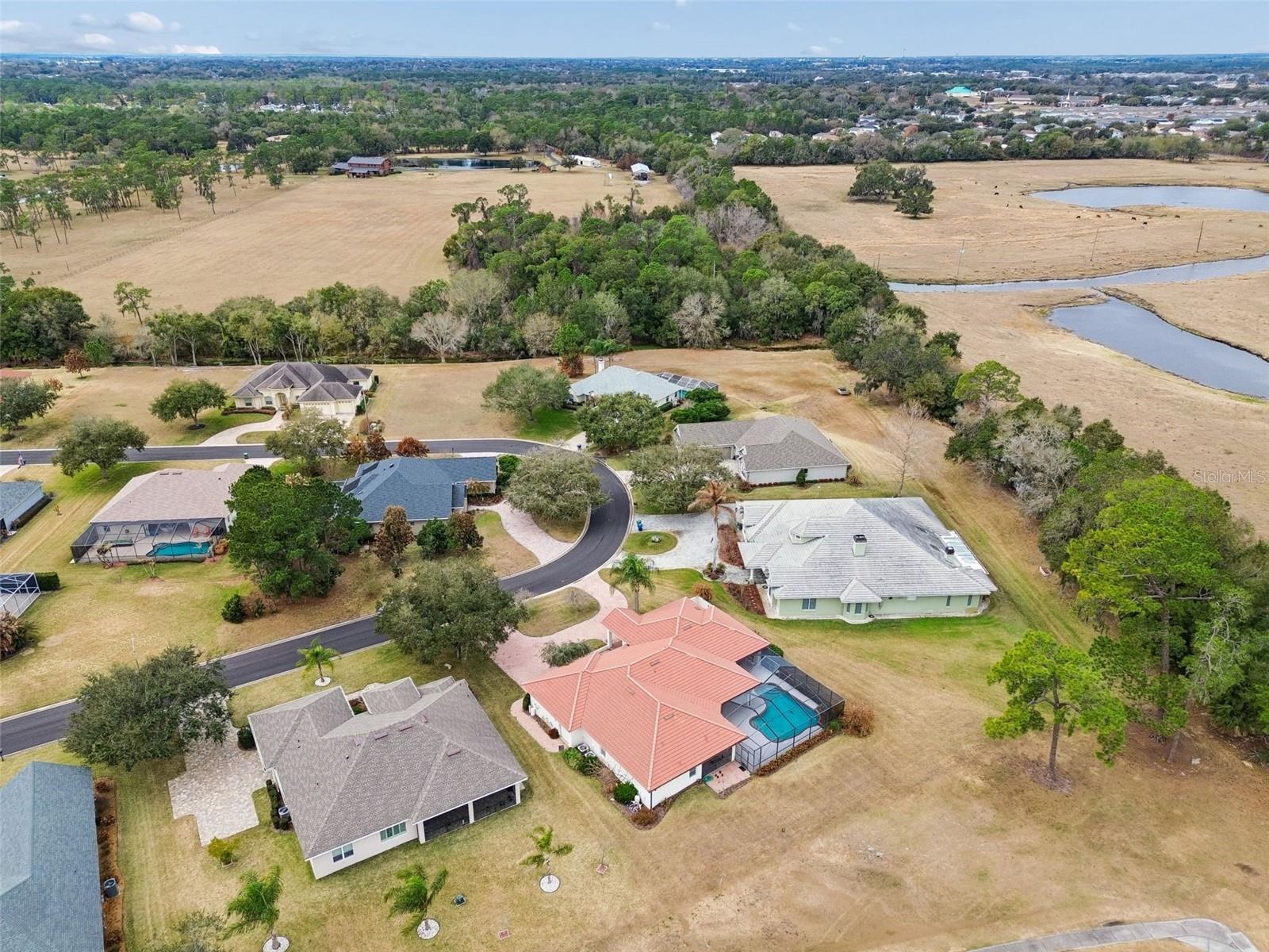 Image 56 of 61 For 4006 Palma Ceia Circle