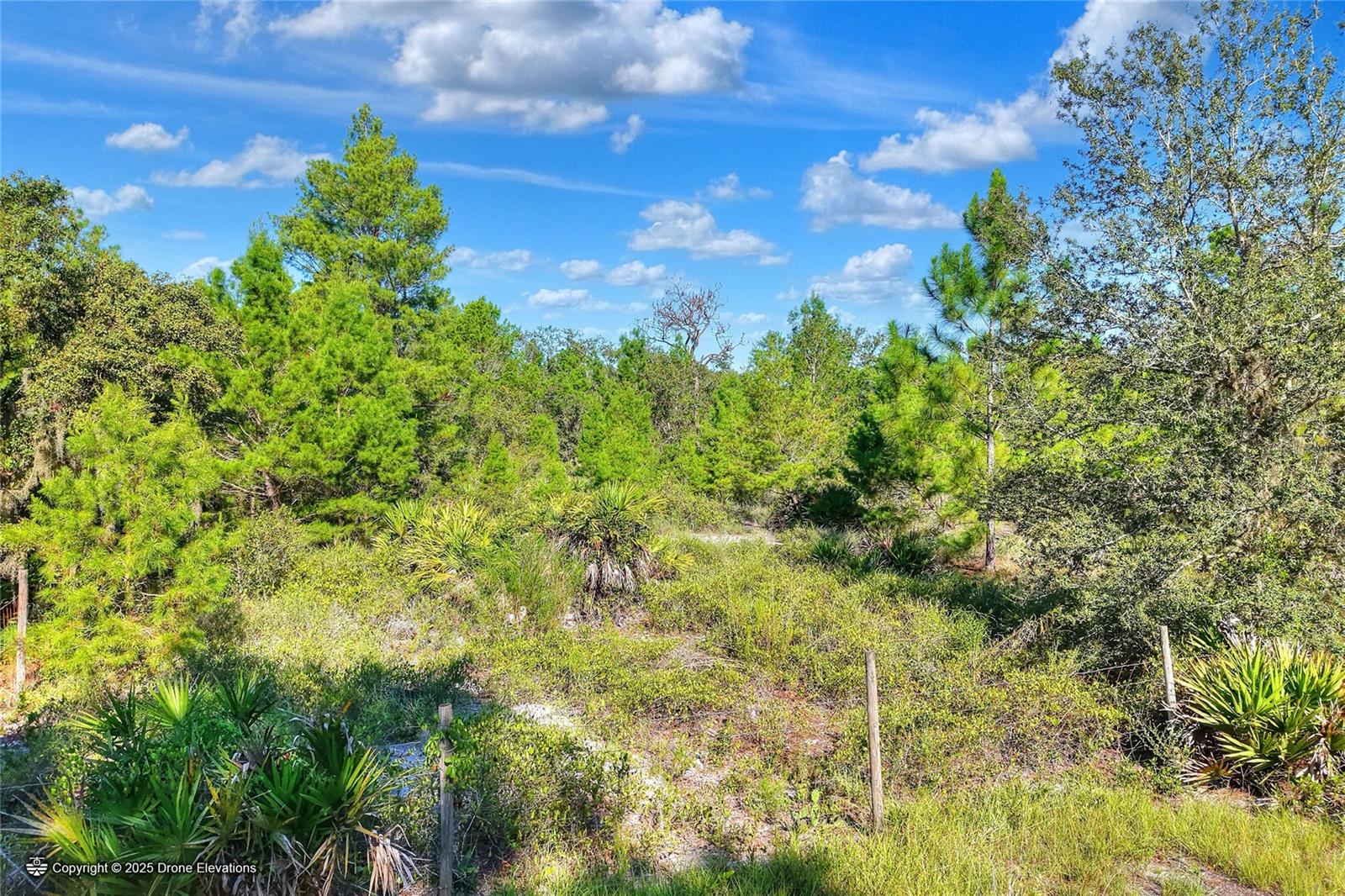 Image 11 of 50 For 730 Mcclellan Road