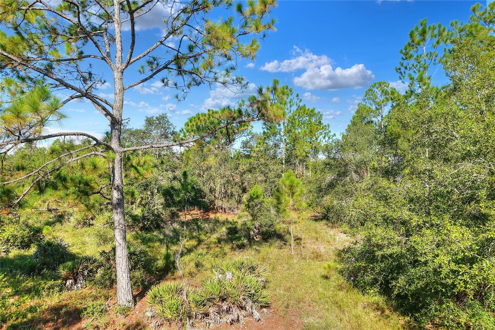 Image 48 of 50 For 730 Mcclellan Road