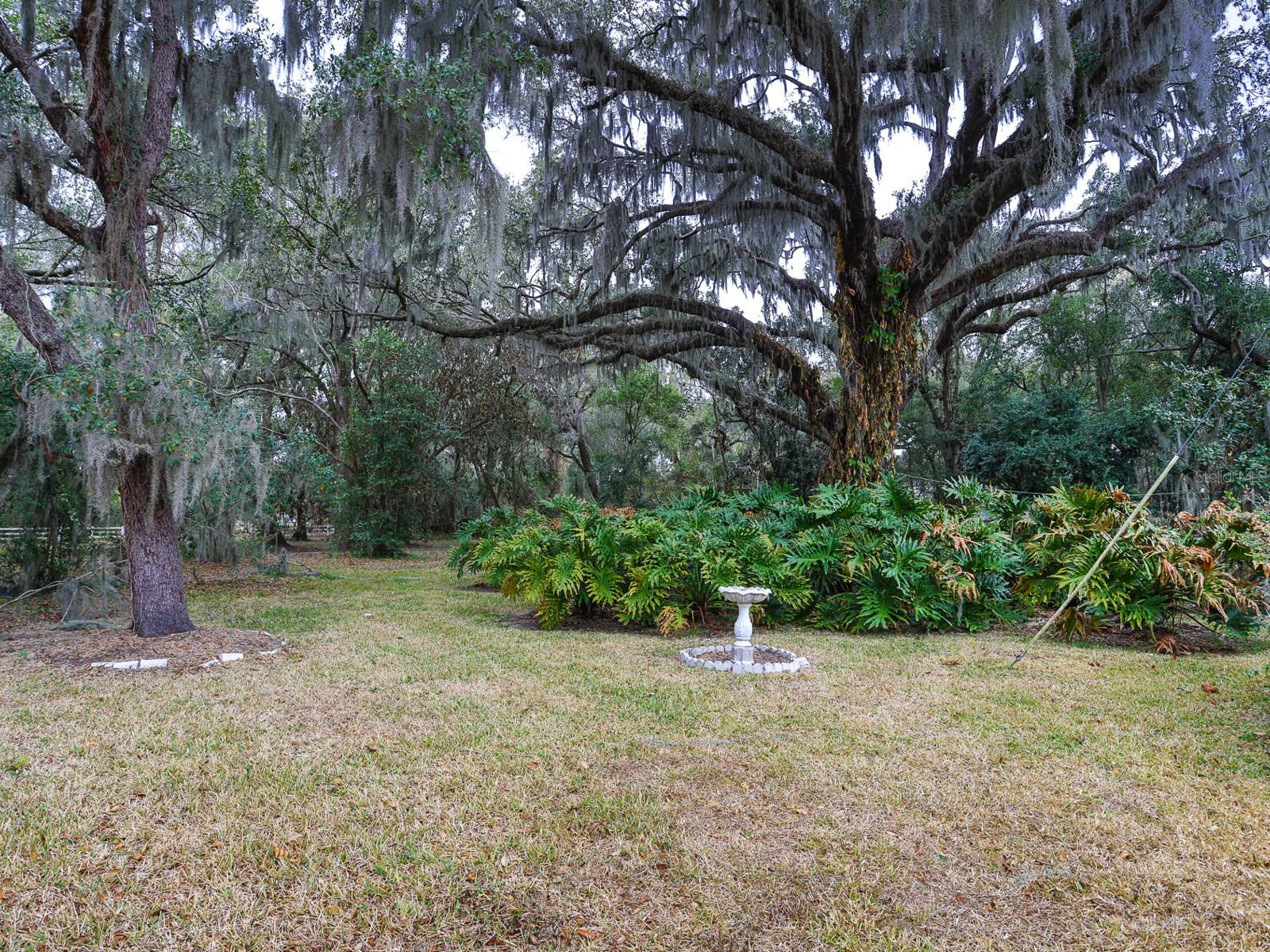 Image 48 of 71 For 1095 Broadway Avenue