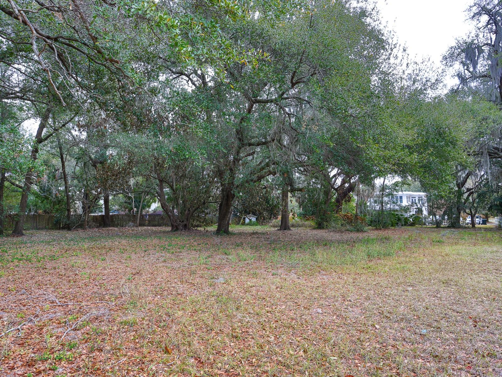 Image 49 of 71 For 1095 Broadway Avenue