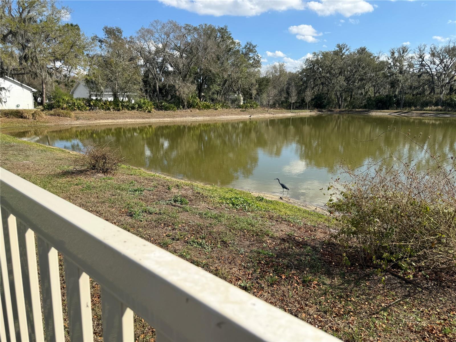 Image 55 of 71 For 3887 Spruce Creek Drive