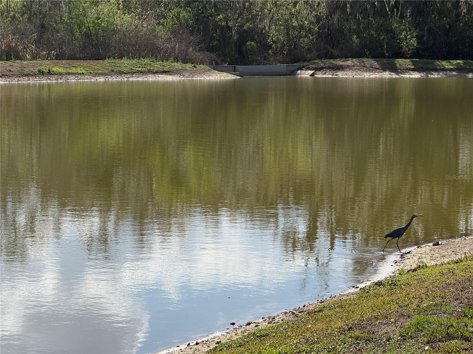 Image 57 of 71 For 3887 Spruce Creek Drive