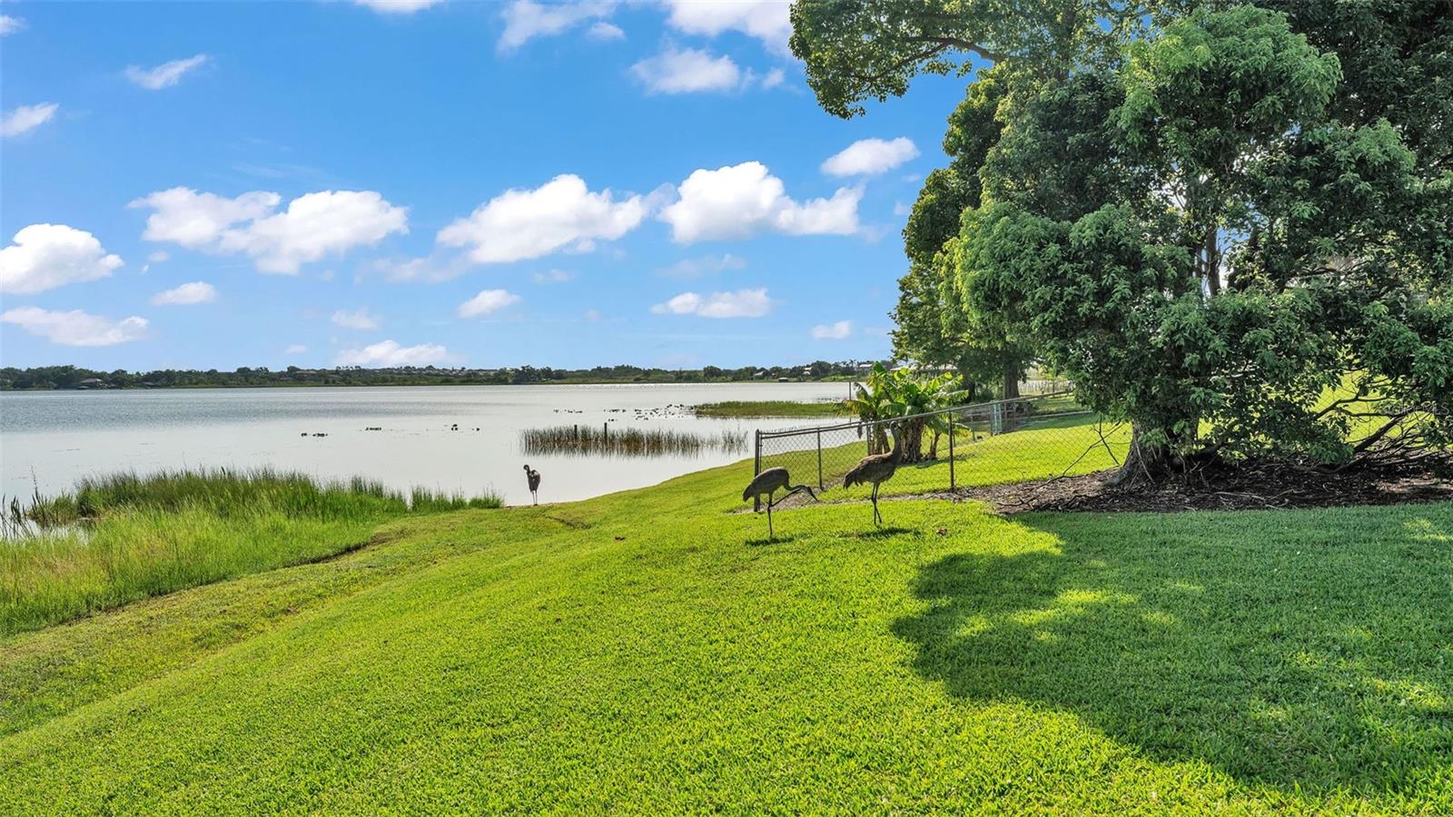 Image 54 of 58 For 274 Paradise Island Drive