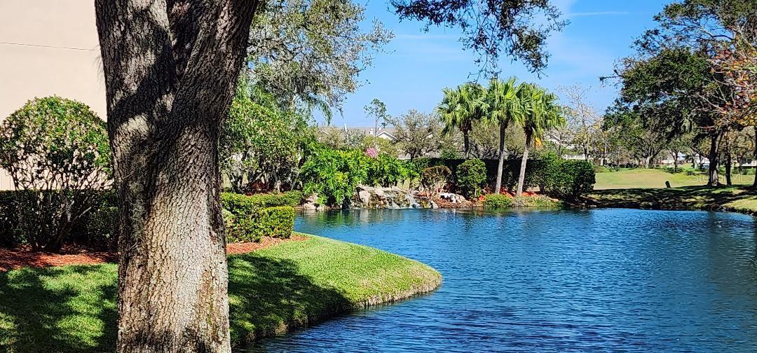 Image 13 of 15 For Address Not Provided