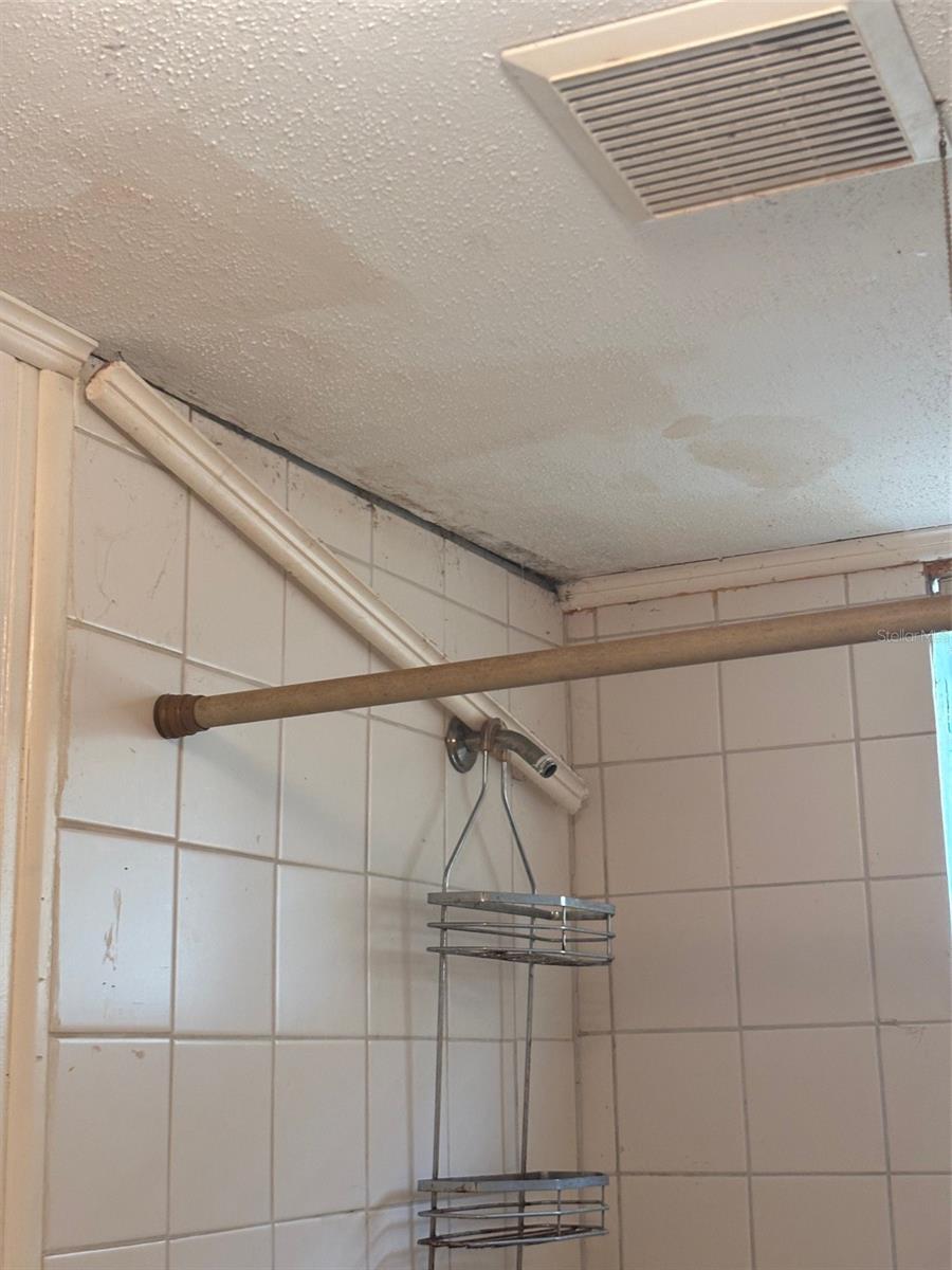 Image 10 of 24 For 216 Belmar Street