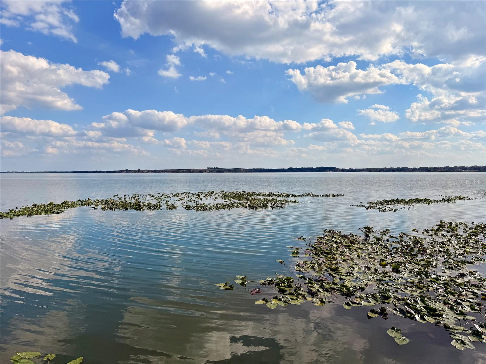 Image 43 of 47 For 148 Lake Reedy Boulevard