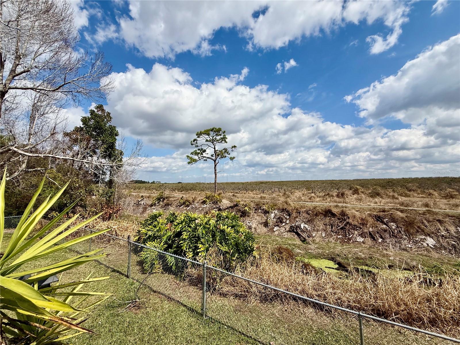 Image 30 of 39 For 478 Humphrey Avenue