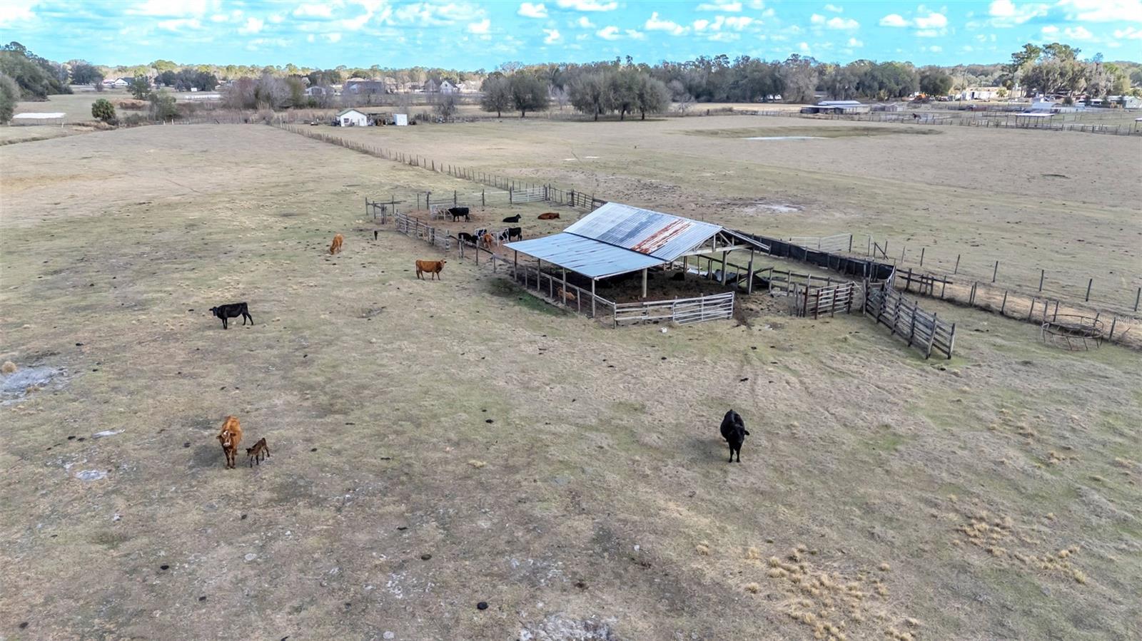 Image 3 of 11 For 4025 Bella Vista Street