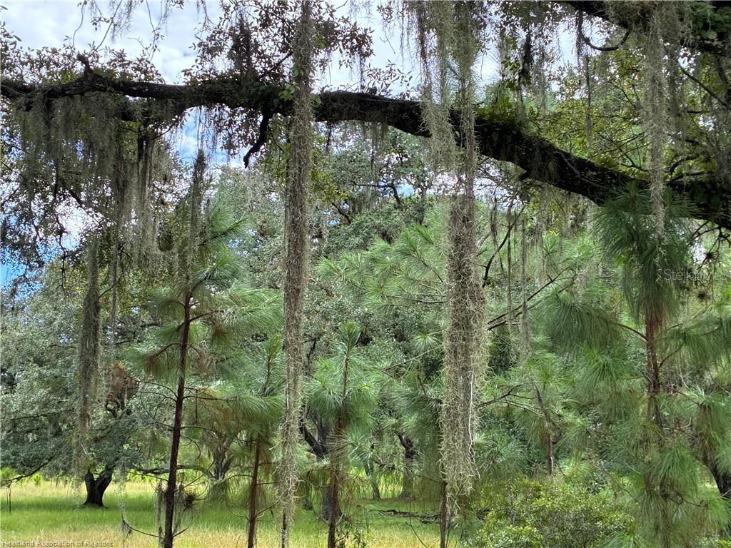 Image 11 of 12 For Detjens Dairy Road