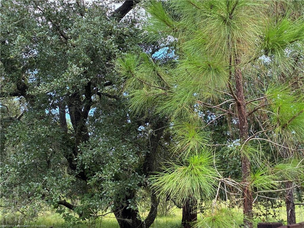 Image 12 of 12 For Detjens Dairy Road