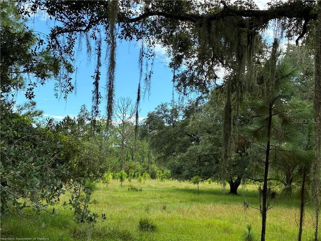 Image 6 of 12 For Detjens Dairy Road