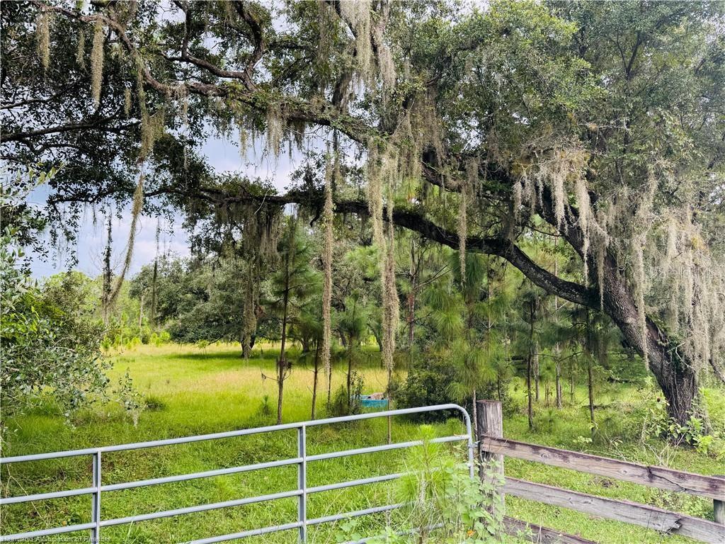 Image 8 of 12 For Detjens Dairy Road