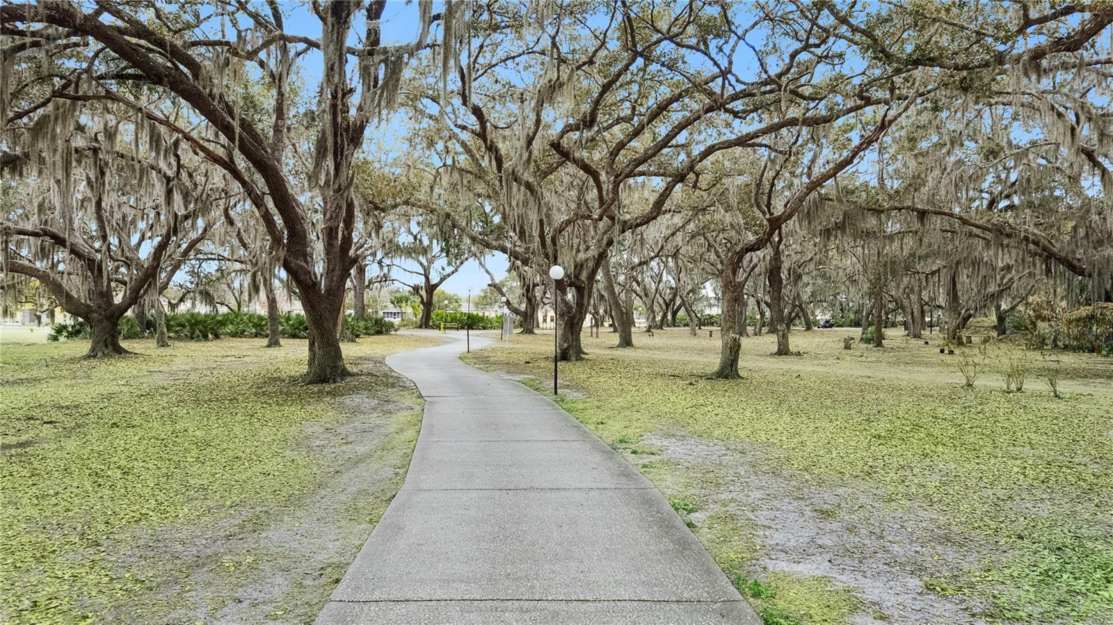 Image 41 of 57 For 1703 Club Circle