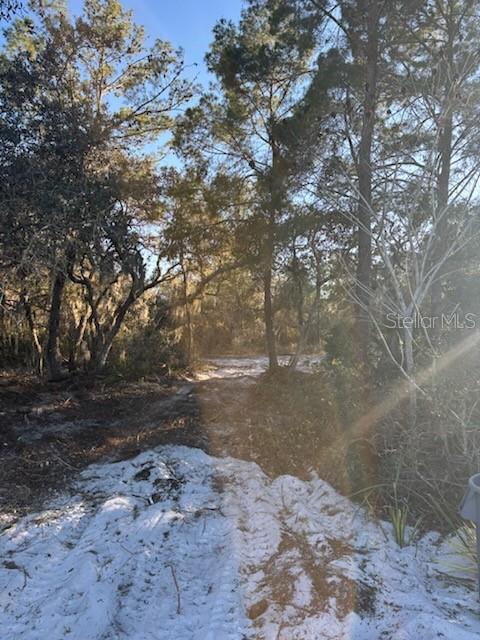 Image 14 of 17 For 4845 Duck Key Street