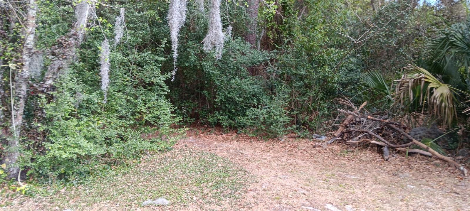 Image 7 of 67 For 555-565 Lee Road