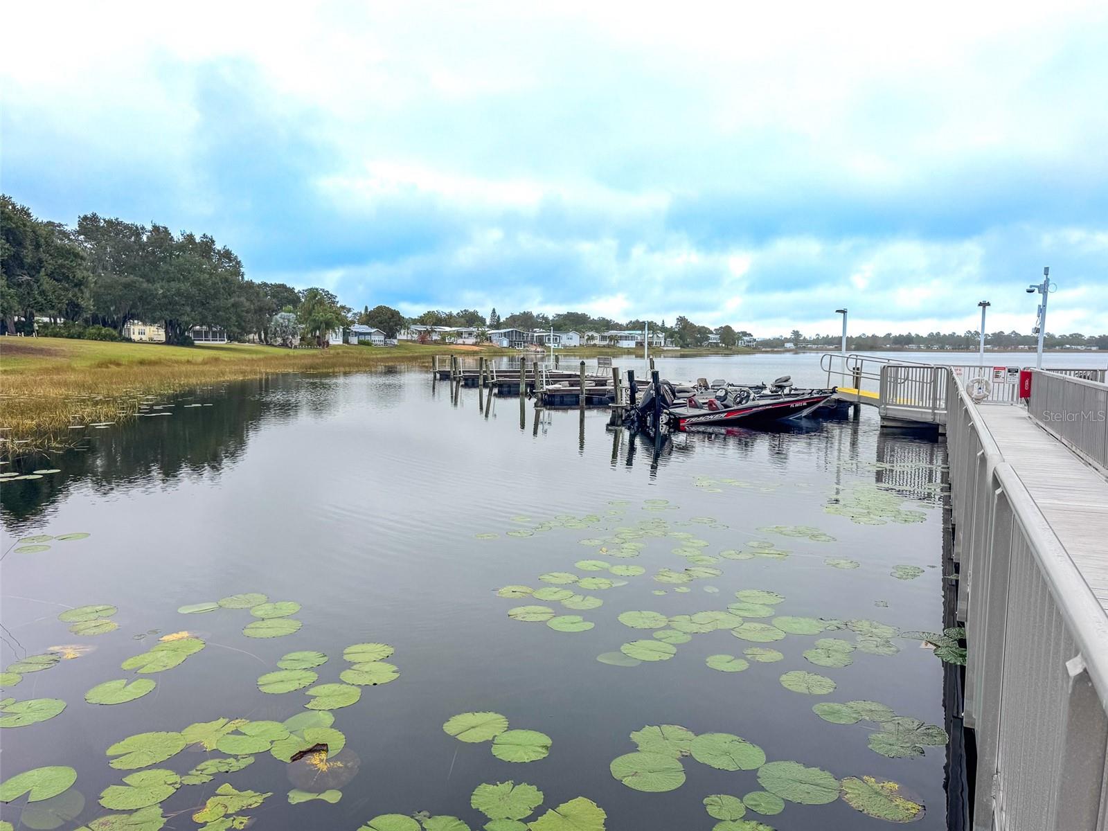 Image 27 of 43 For 77 Silversides Street