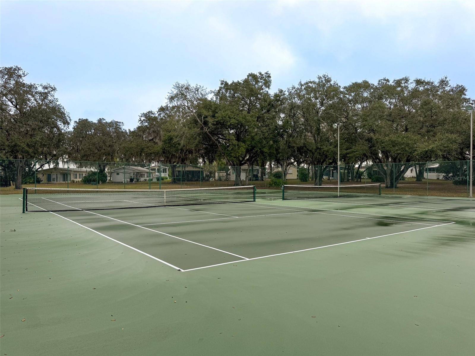 Image 35 of 43 For 77 Silversides Street