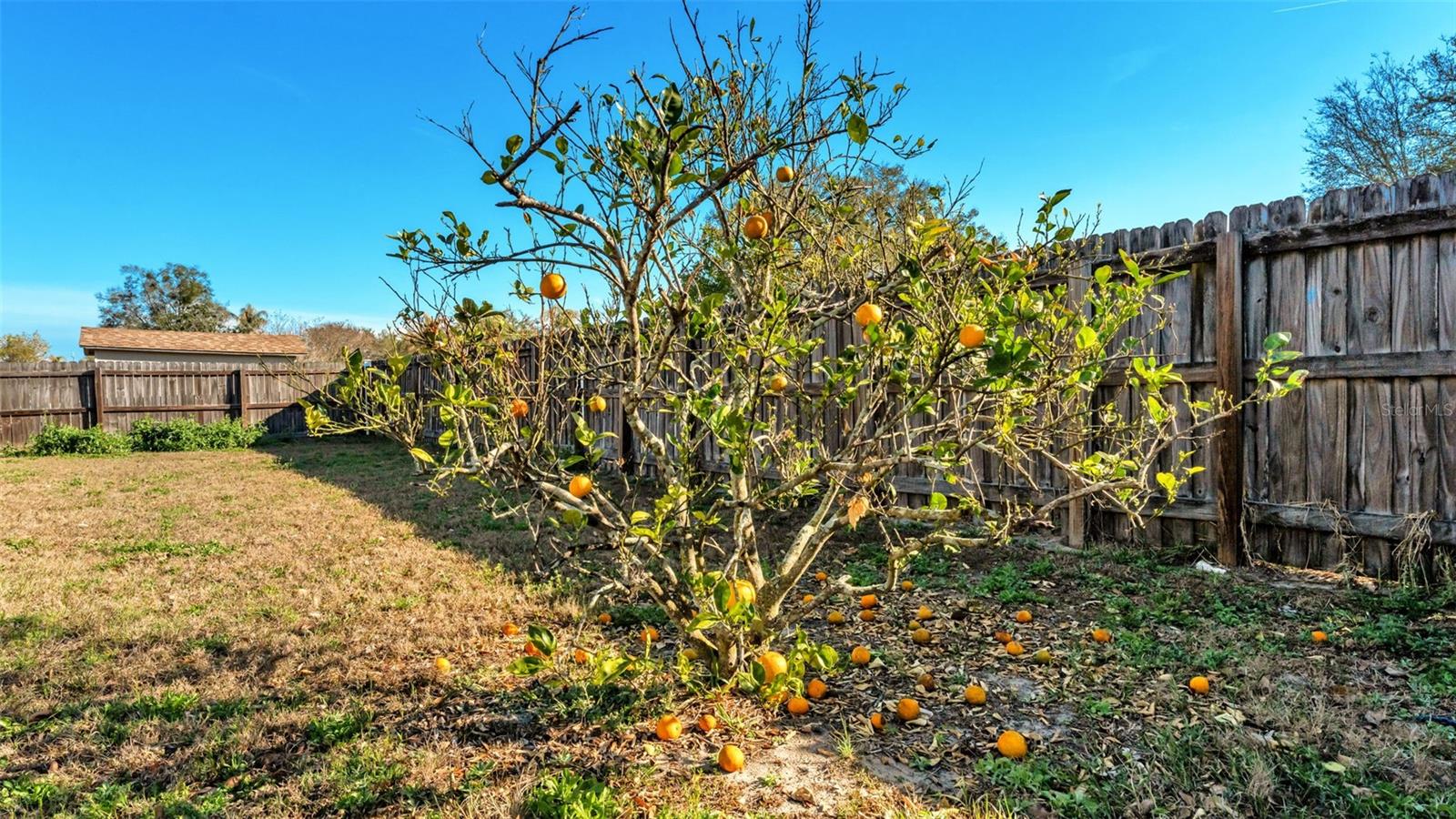 Image 14 of 40 For 7627 Clouser Court