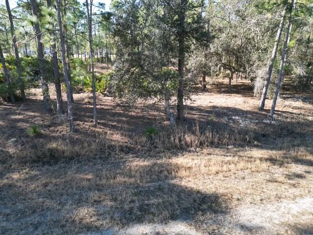 Image 11 of 32 For 705 Laguna Drive