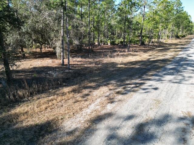 Image 12 of 32 For 705 Laguna Drive