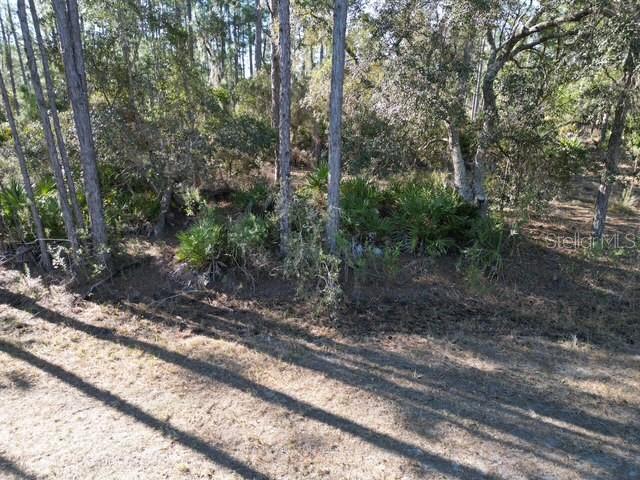 Image 14 of 32 For 705 Laguna Drive