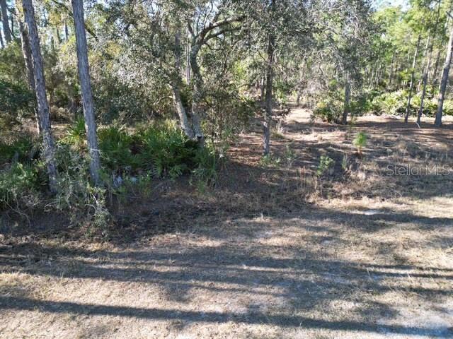 Image 5 of 32 For 707 Laguna Drive