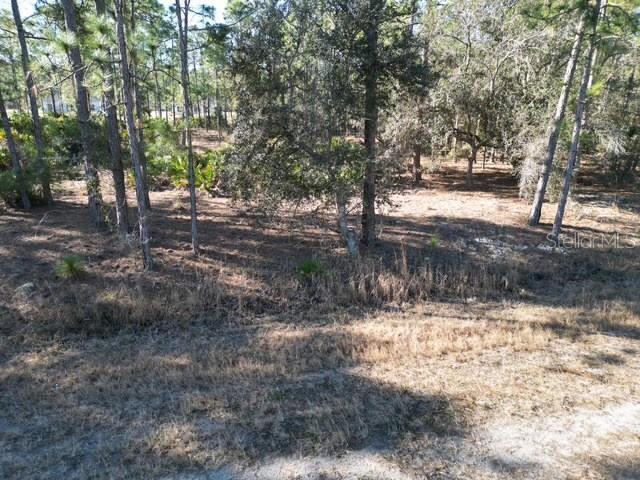 Image 6 of 32 For 707 Laguna Drive