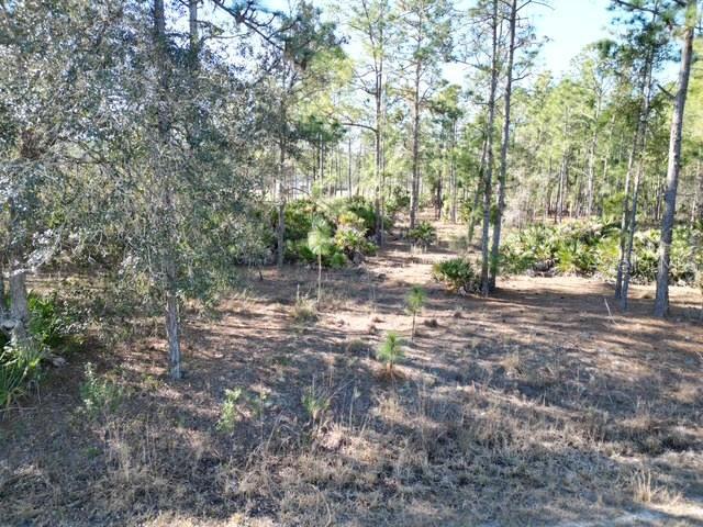 Image 7 of 32 For 707 Laguna Drive