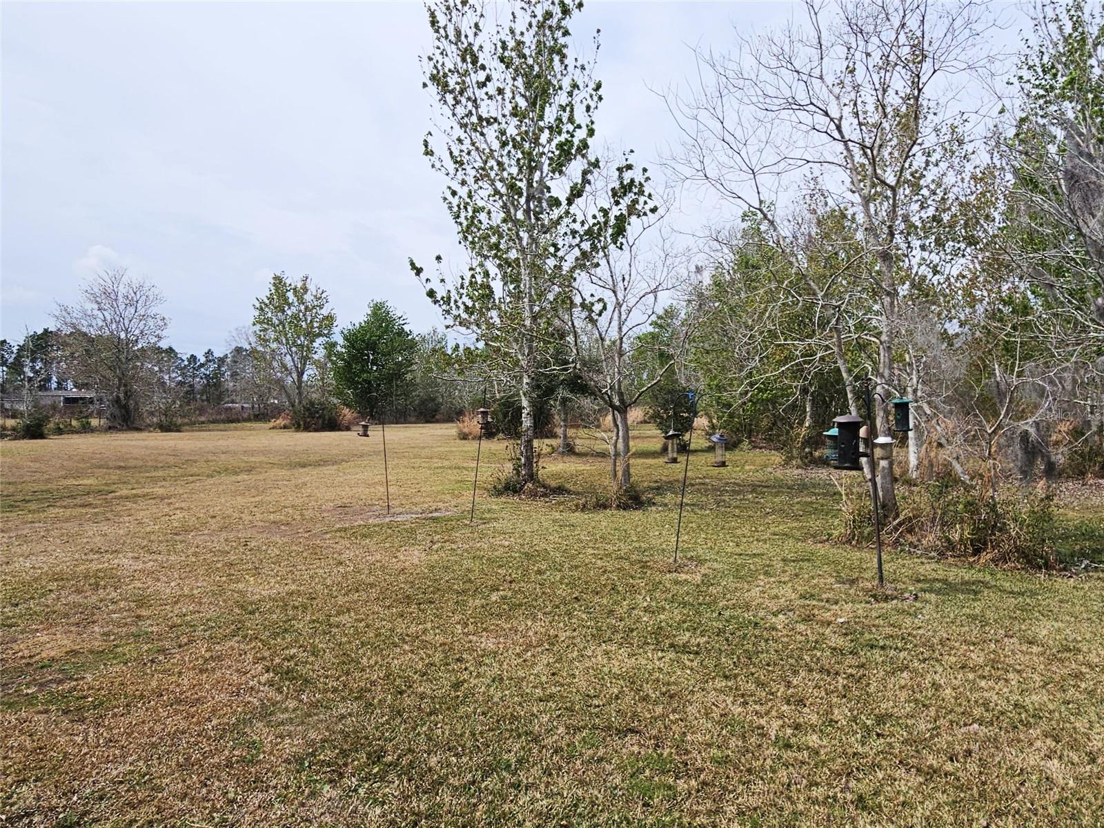 Image 32 of 34 For 2034 Trail Cut Road