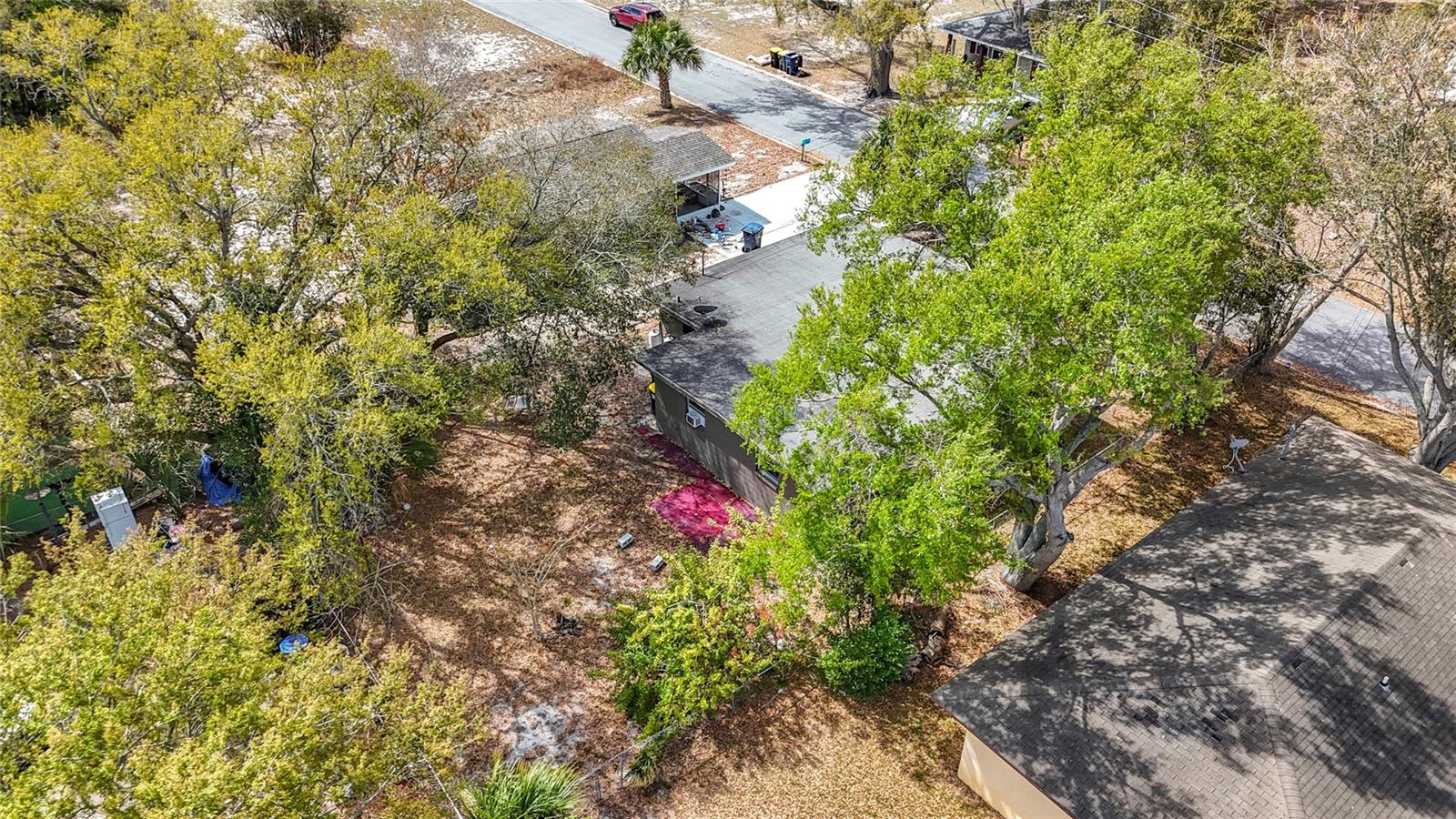 Image 46 of 46 For 319 Leta Street