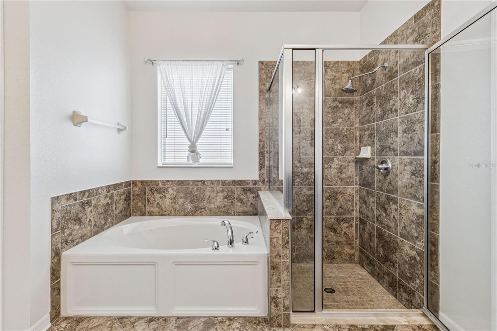 Image 24 of 56 For 31518 Bearded Oak Drive