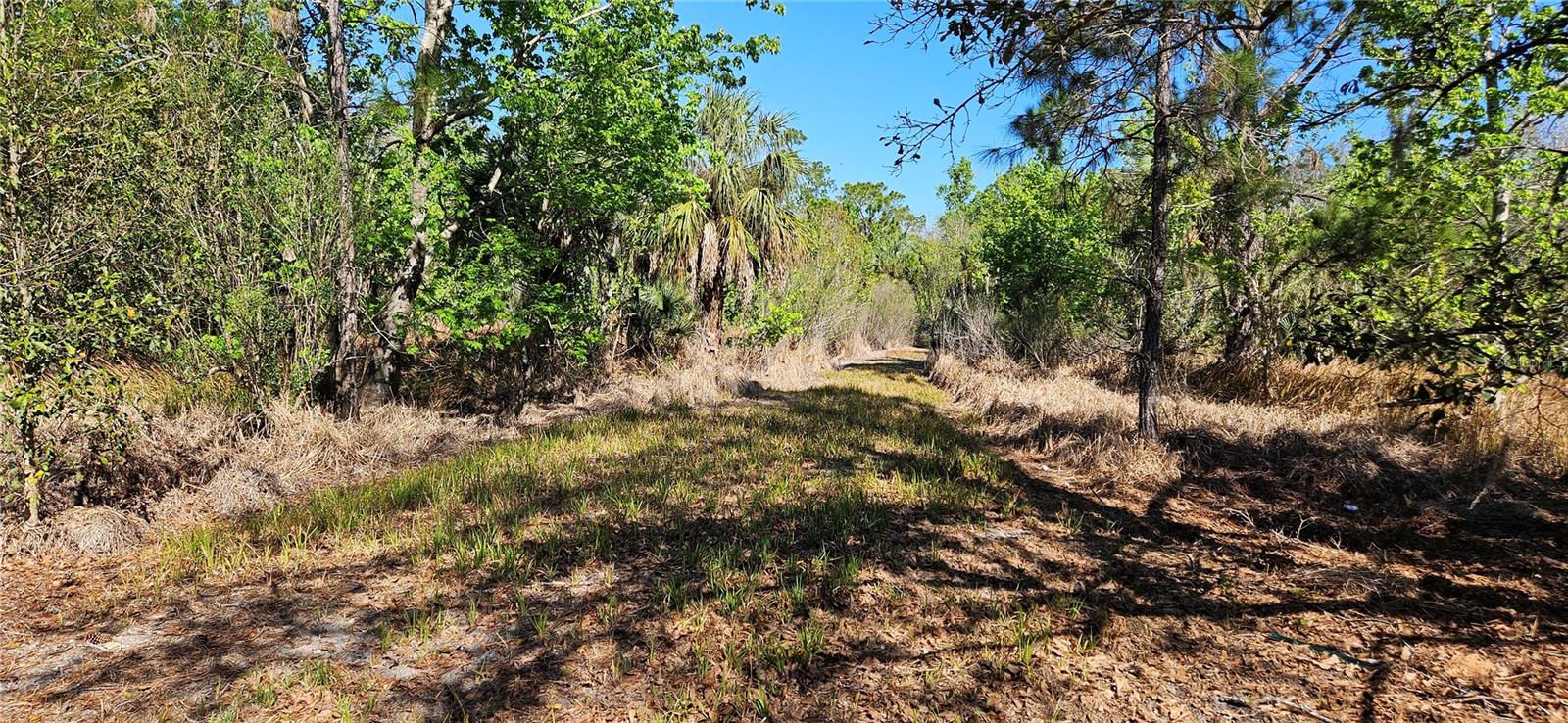 Image 3 of 5 For 6336 Timberlane Road