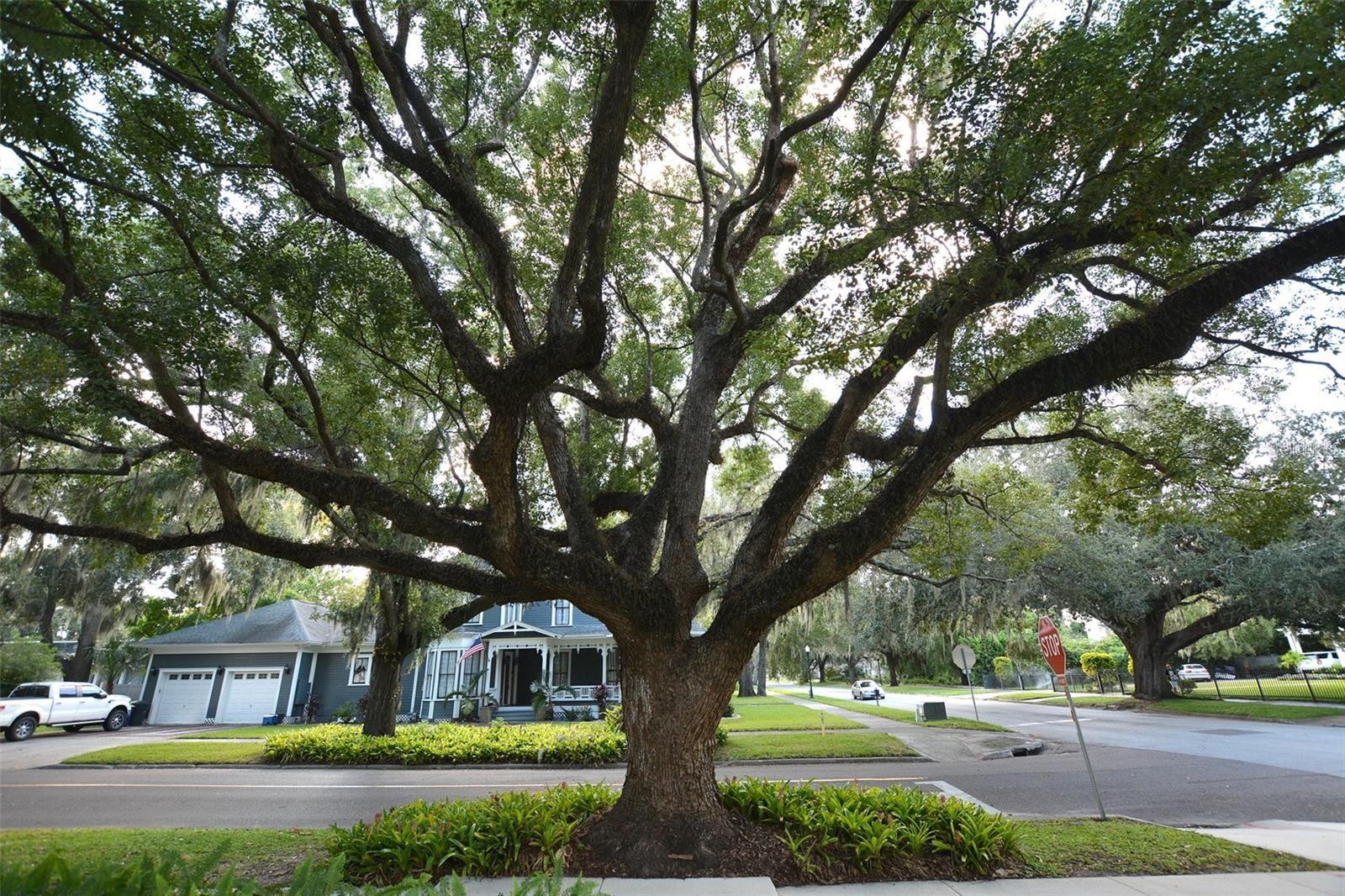 Image 6 of 82 For 705 Church Street