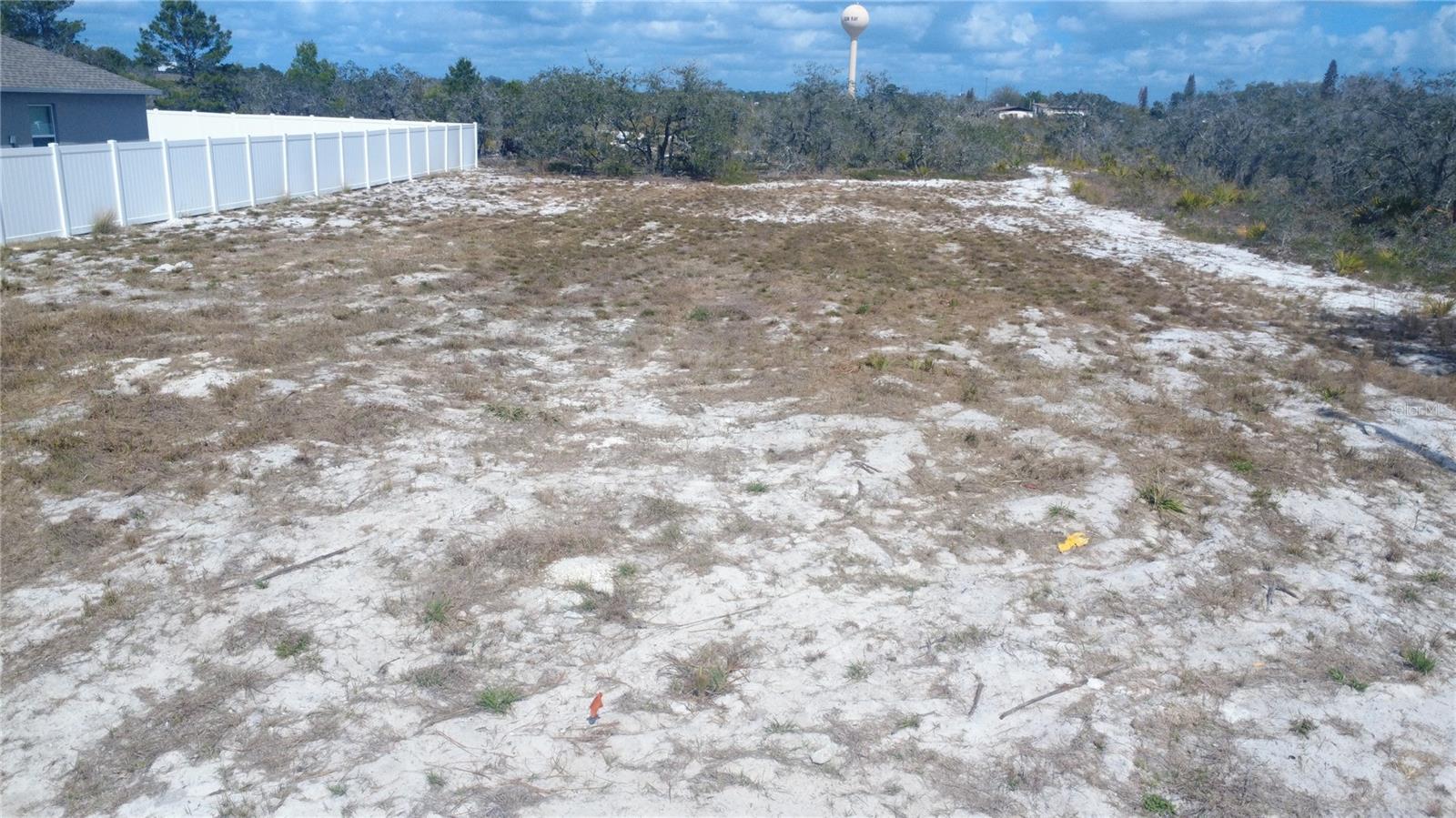 Image 3 of 5 For  Joey Lane 