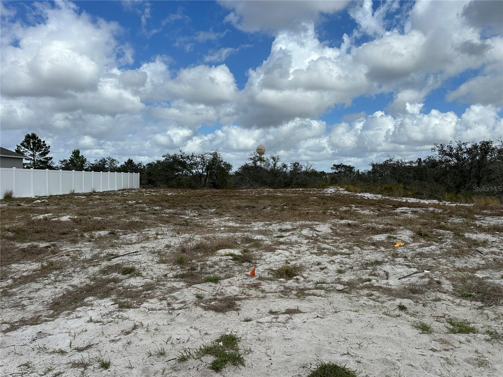 Image 4 of 5 For  Joey Lane 