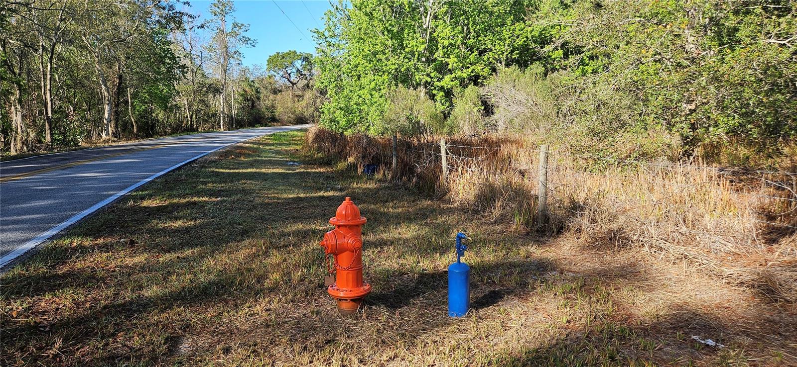 Image 4 of 5 For Timberlane Road