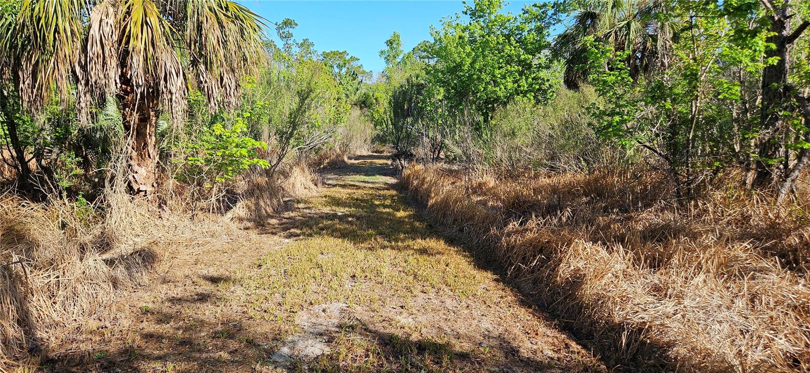 Image 3 of 5 For Address Not Provided