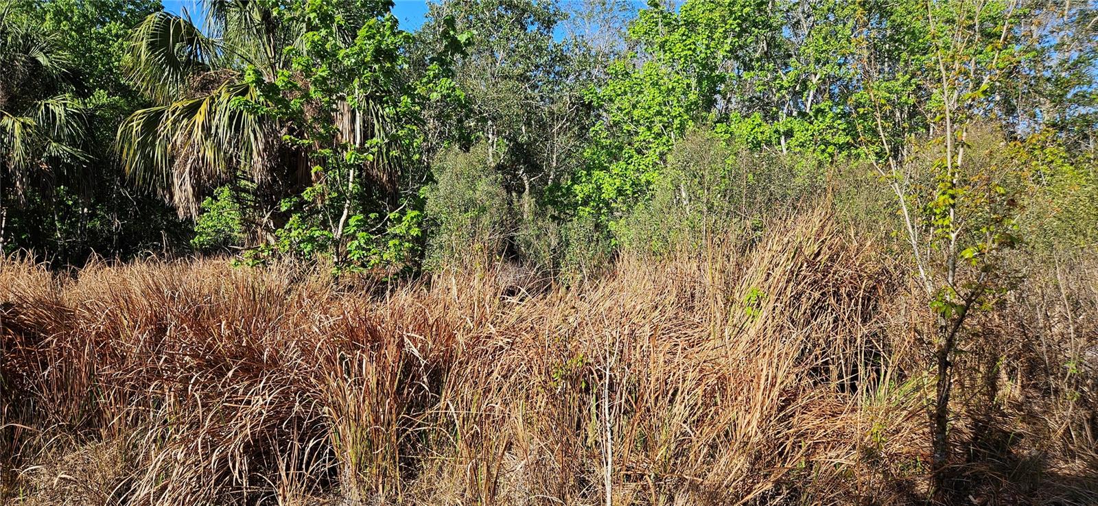 Image 4 of 5 For Address Not Provided