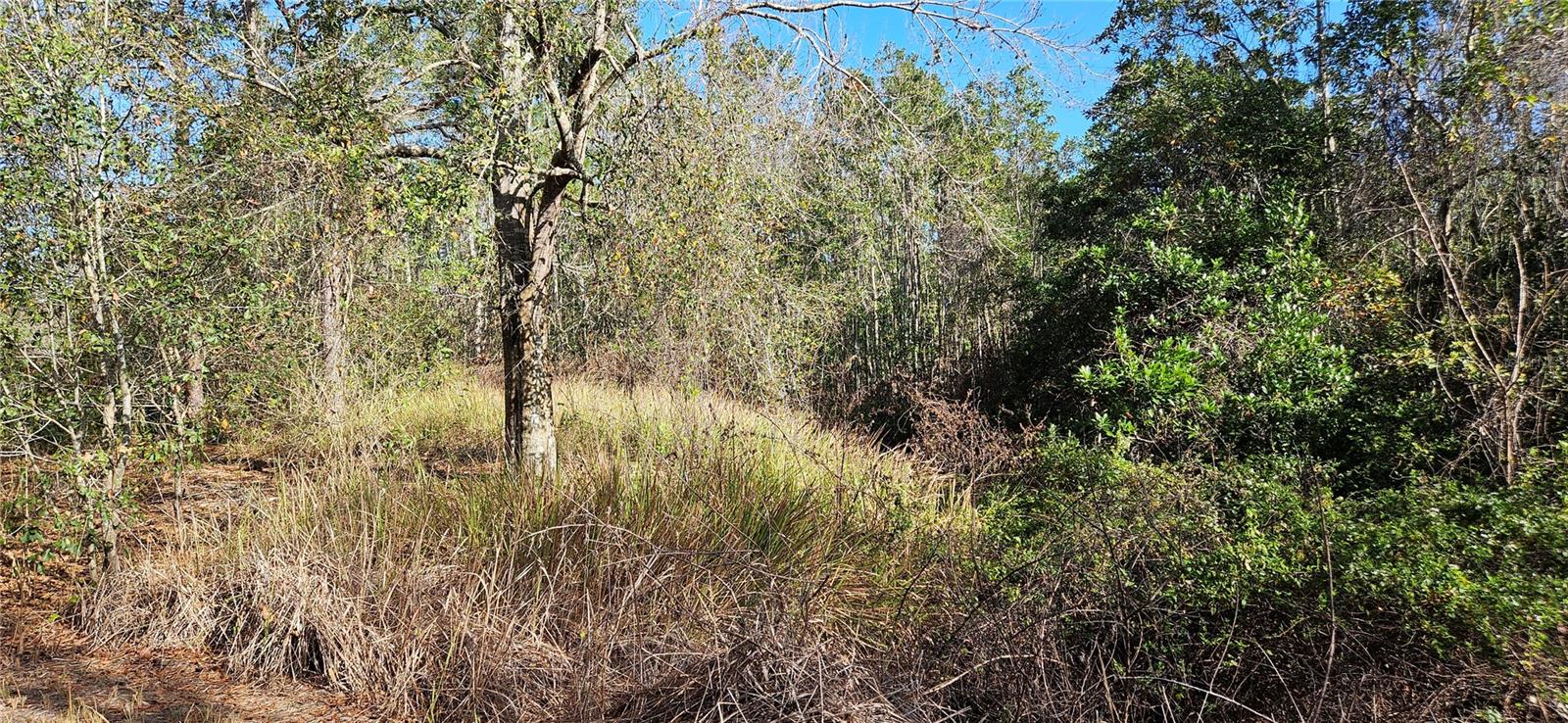 Image 5 of 5 For Address Not Provided