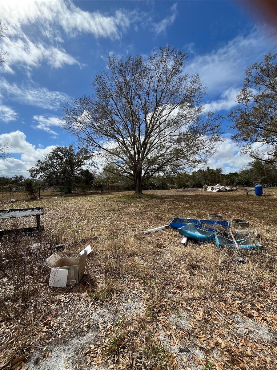 Image 31 of 36 For 3535 King Court