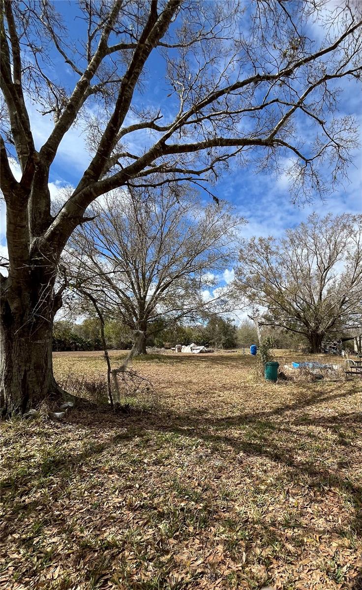 Image 35 of 36 For 3535 King Court