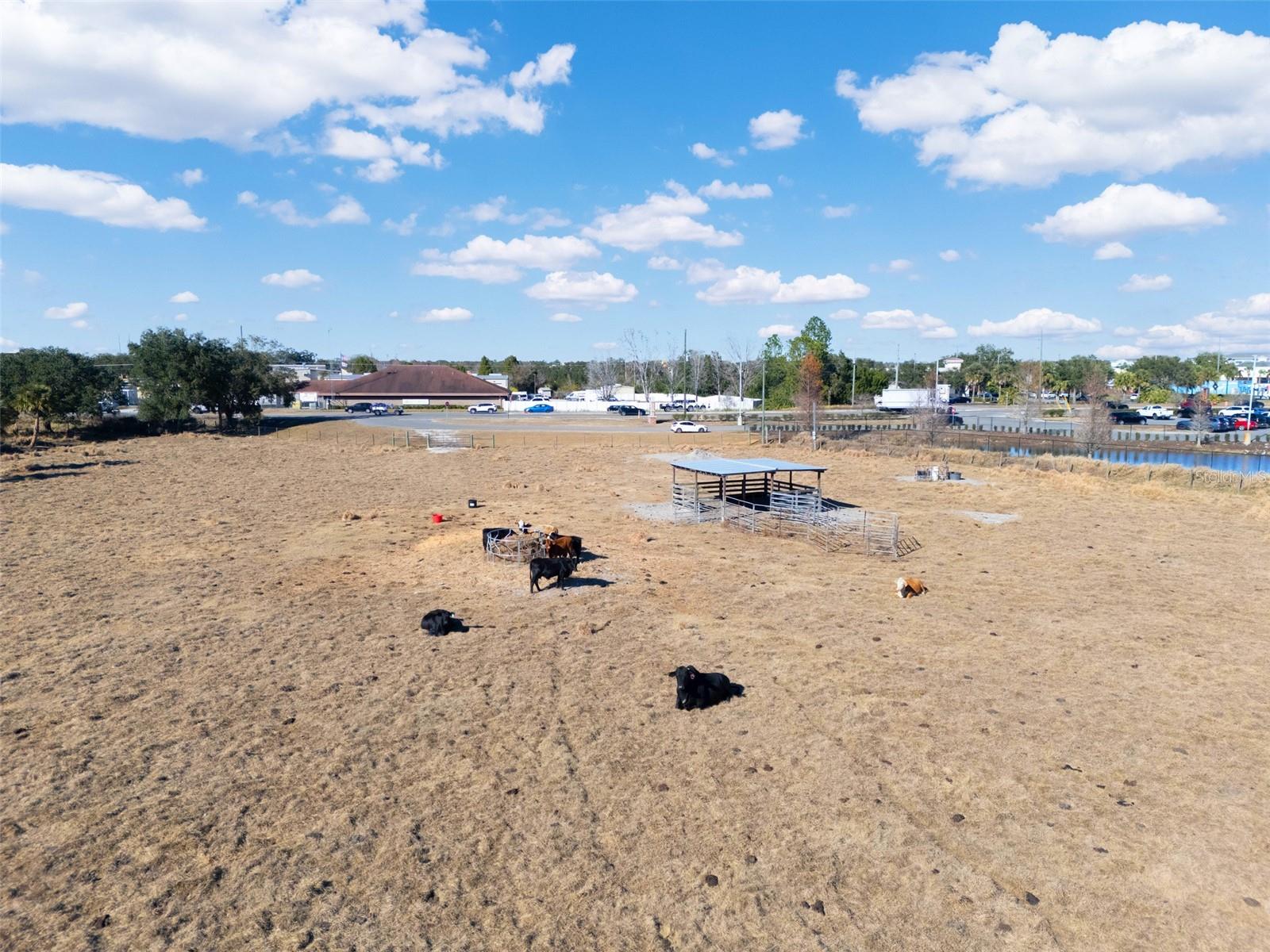 Image 21 of 25 For Thompson Nursery Road