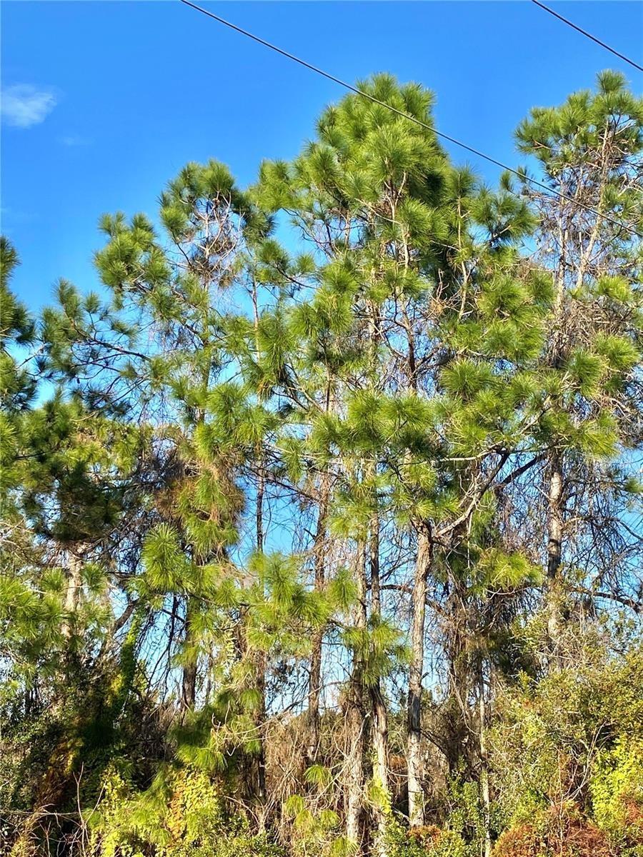 Image 2 of 5 For 6070 Arbuckle Road