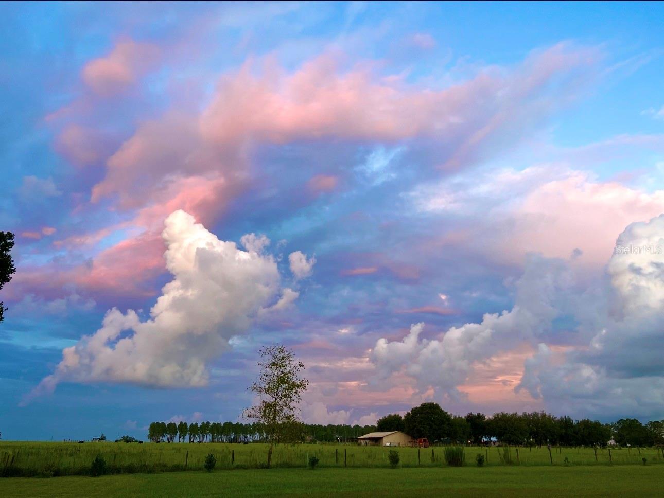 Details for 15300 Lake Iola Road, DADE CITY, FL 33523