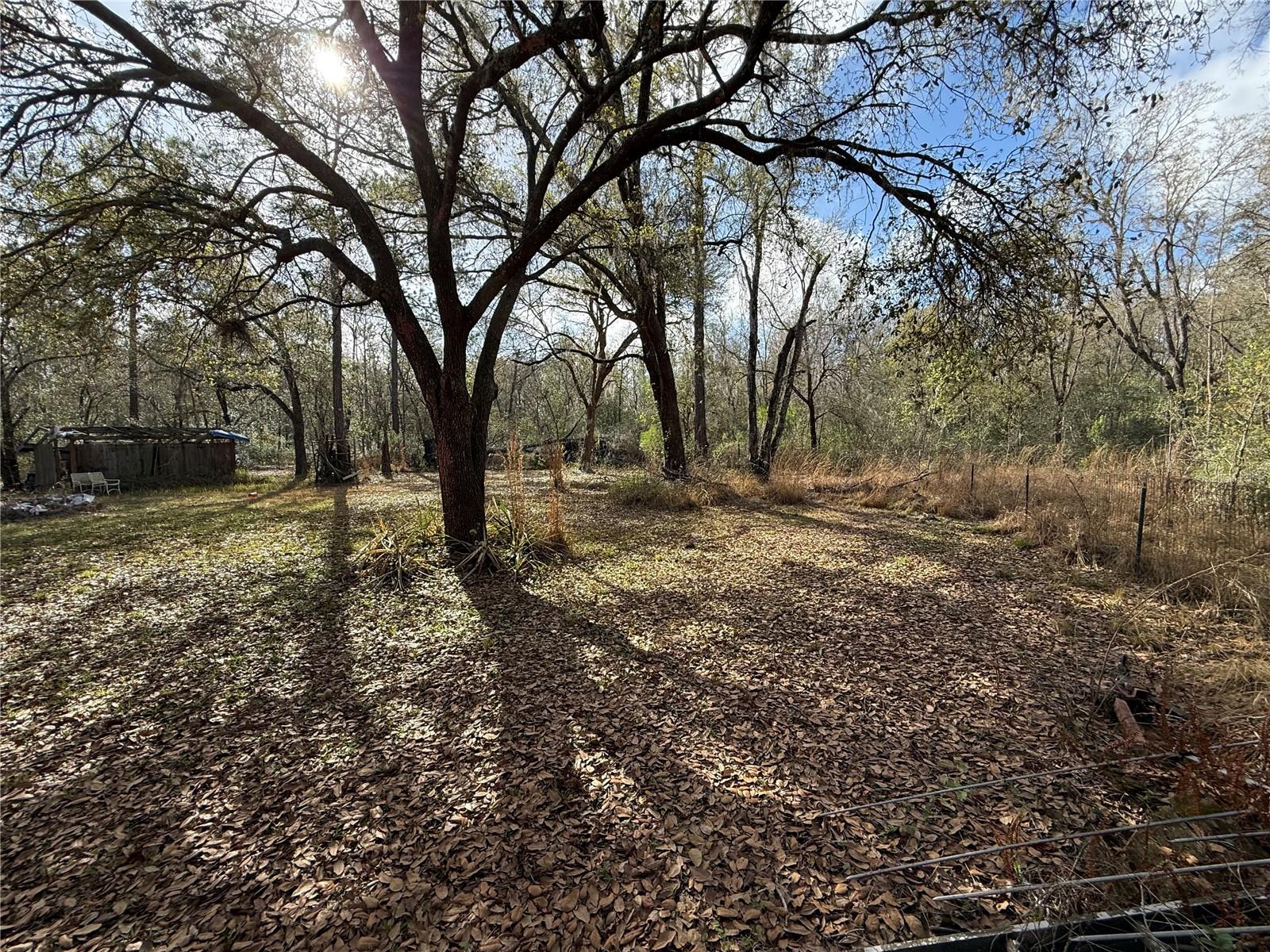 Image 11 of 48 For 12708 Farmettes Road