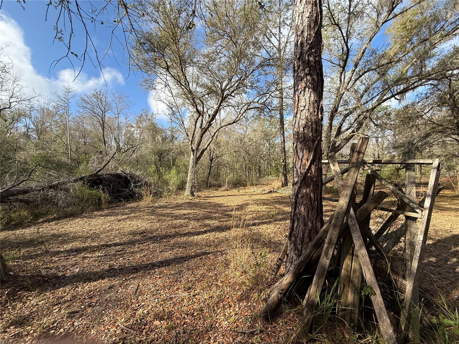 Image 2 of 48 For 12708 Farmettes Road