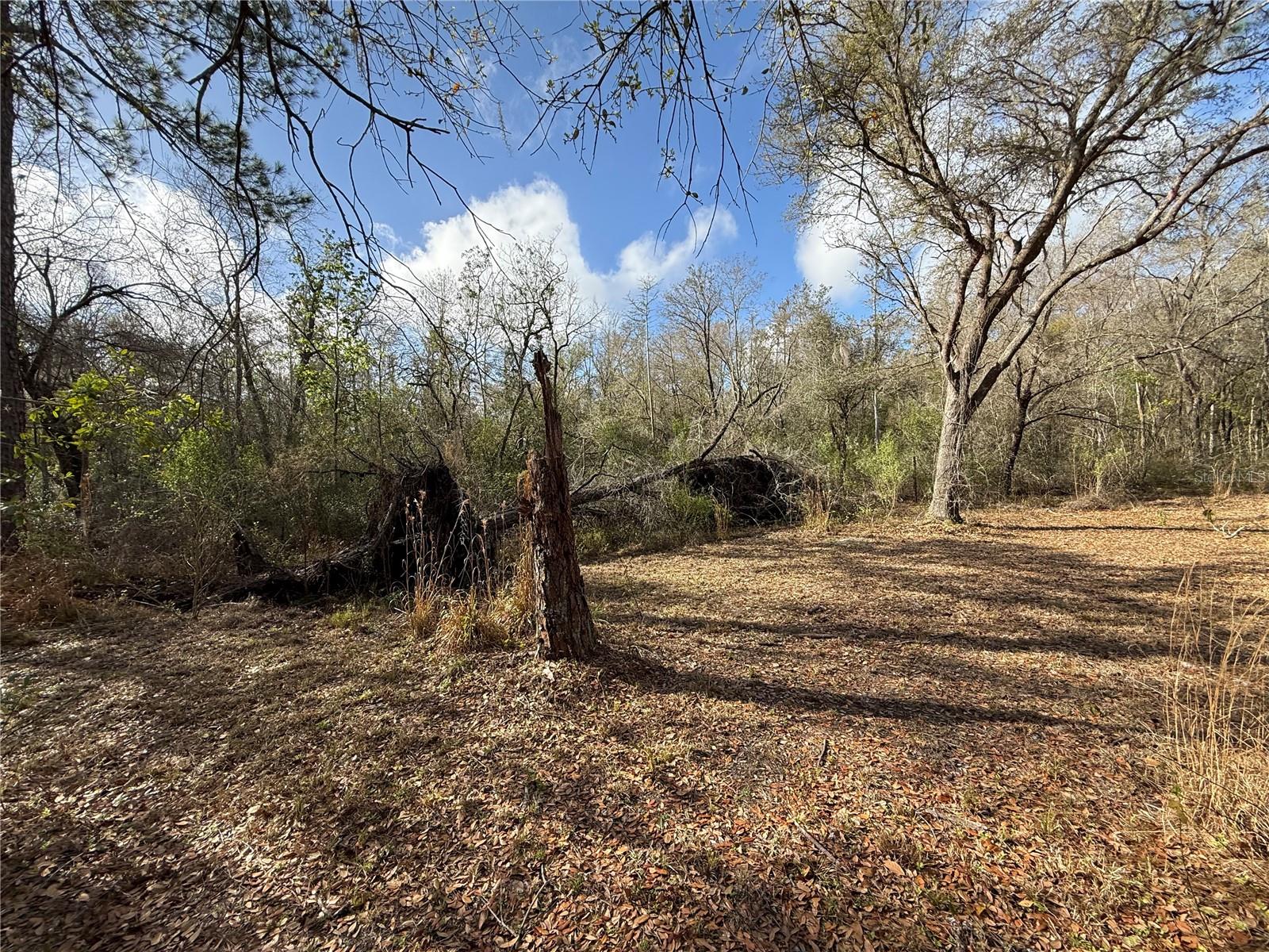 Image 4 of 48 For 12708 Farmettes Road