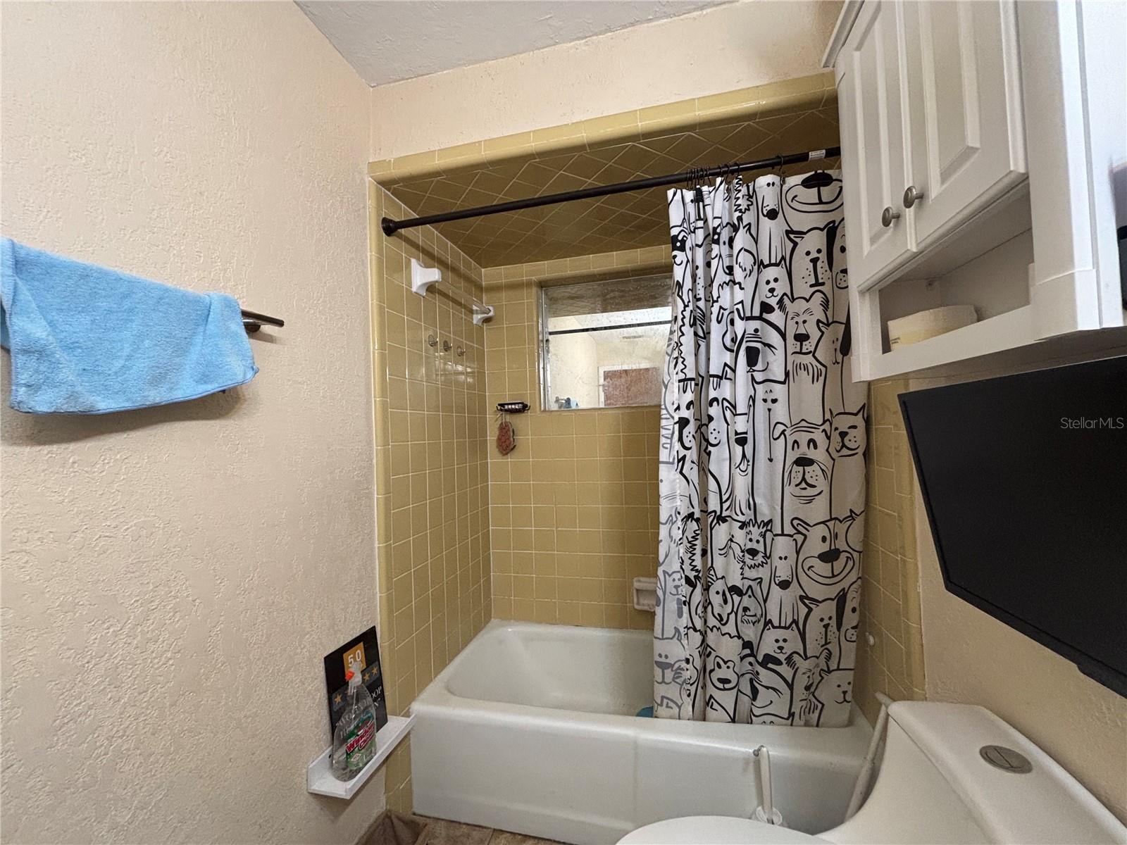 Image 17 of 28 For 103 Davis Street